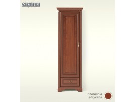 Модульная мебель Стилиус (BRW) Шкаф NSZF 1D1S(L/P)